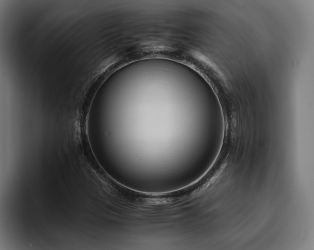X0000094451305200711081256