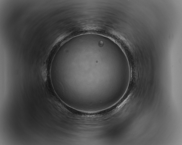 X0000094451306200711081256