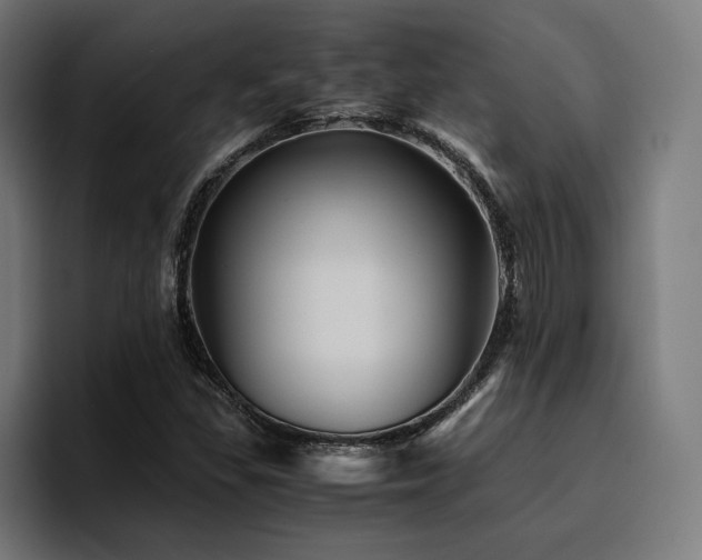 X0000094451309200711081256
