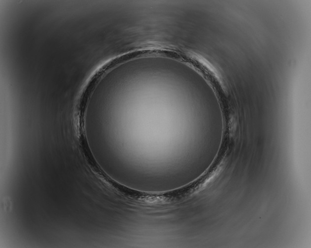 X0000094451310200711081256