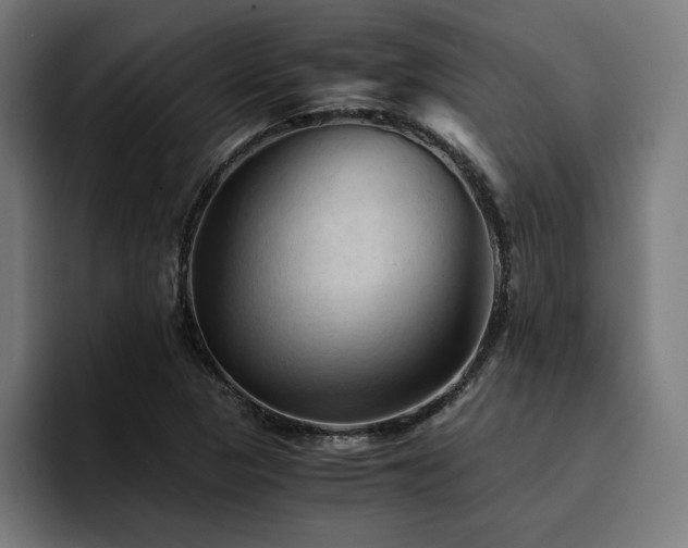 X0000094451313200711081257