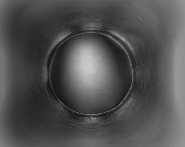 X0000094451317200711081257