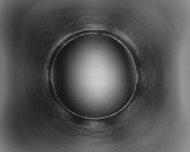X0000094451318200711081257