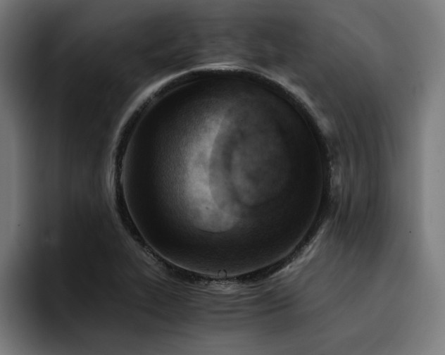 X0000094451319200711081257