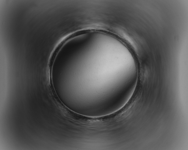 X0000094451320200711081257