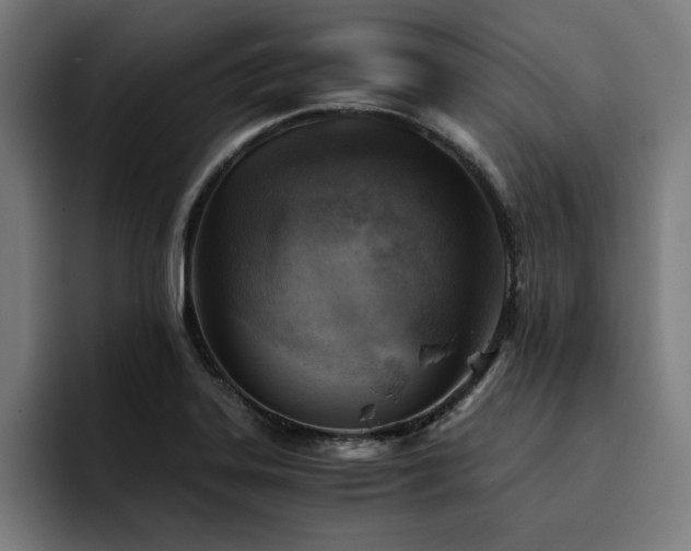 X0000094451323200711081257