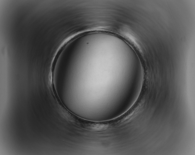 X0000094451324200711081257