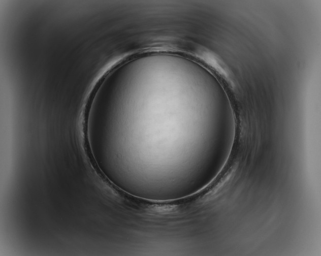 X0000094451325200711081257