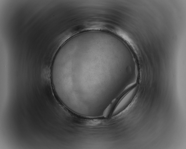 X0000094451329200711081257
