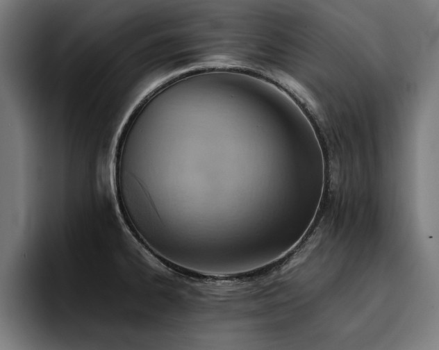 X0000094451334200711081257
