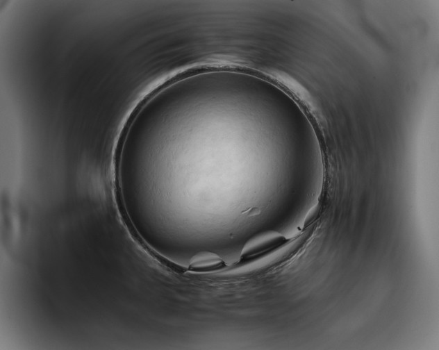 X0000094451335200711081257
