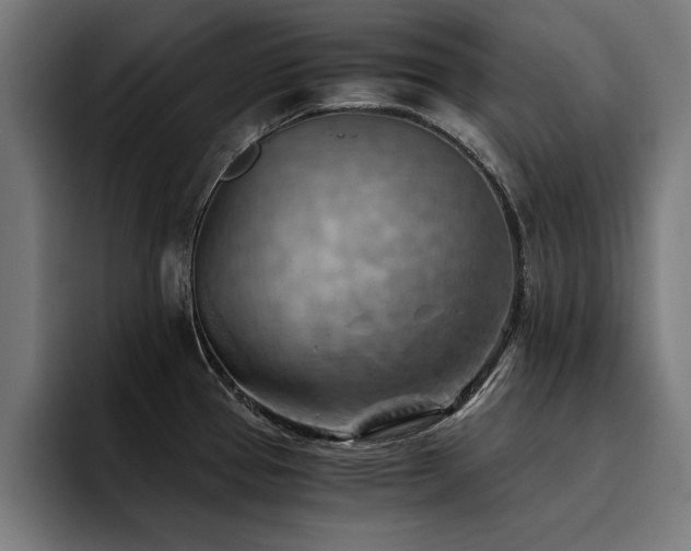 X0000094451337200711081257