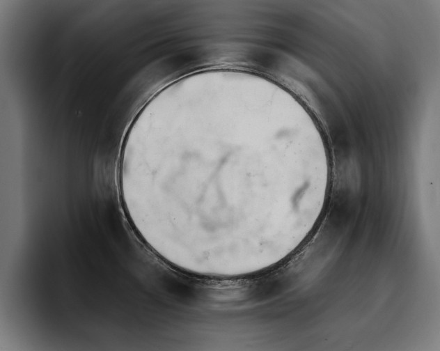 X0000094451338200711081257