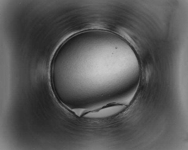X0000094451339200711081257