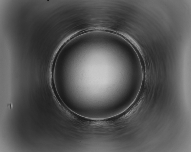 X0000094451341200711081257