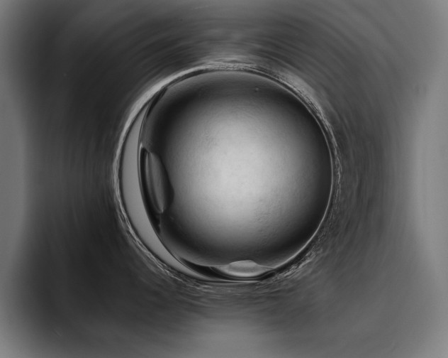 X0000094451344200711081257