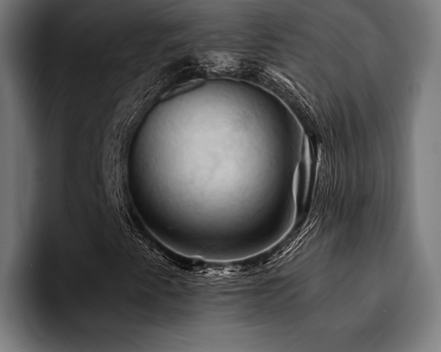 X0000094451345200711081256