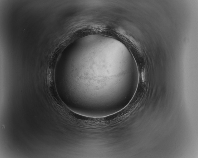 X0000094451347200711081256