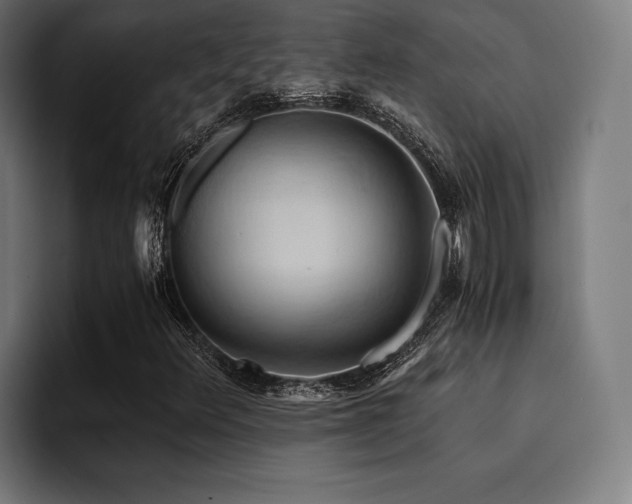 X0000094451348200711081256