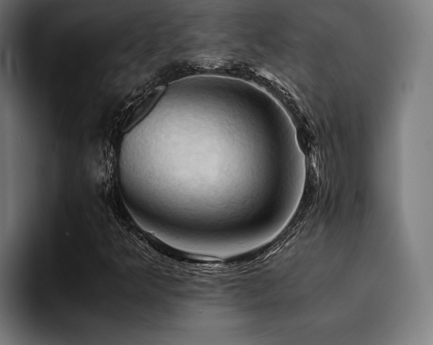 X0000094451349200711081256