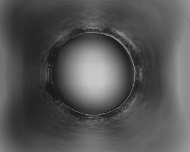 X0000094451350200711081256