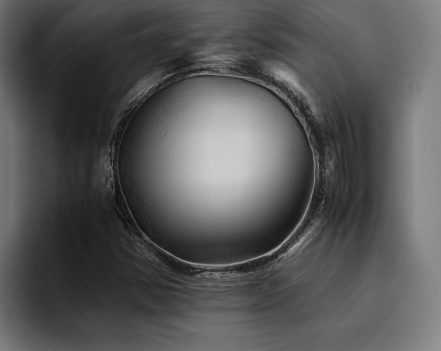 X0000094451354200711081256