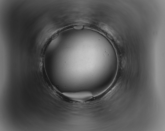 X0000094451355200711081256