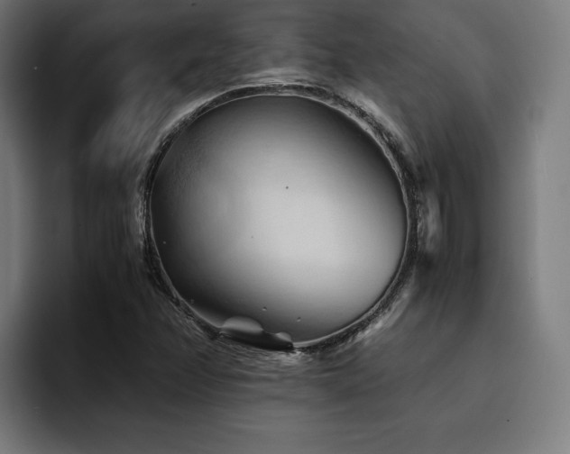 X0000094451358200711081256