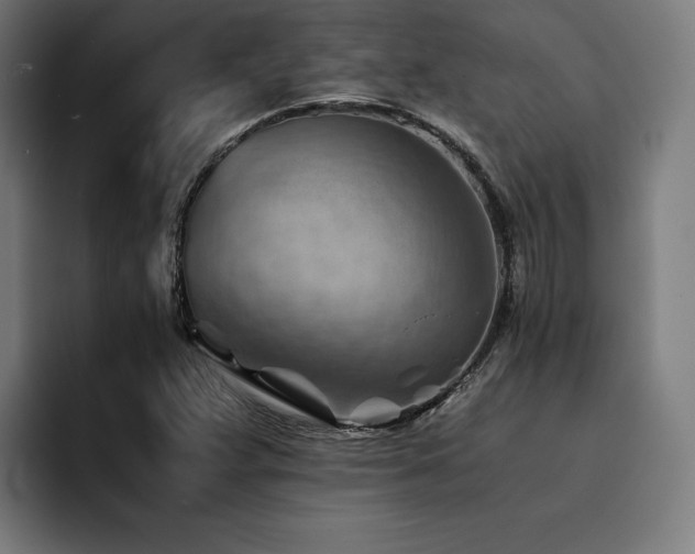 X0000094451359200711081256