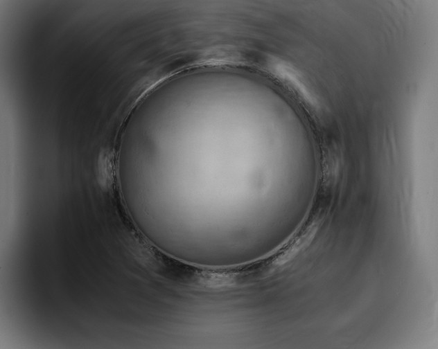 X0000094451361200711081256