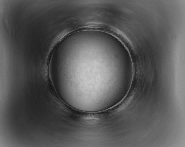 X0000094451362200711081256