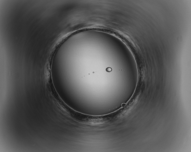 X0000094451363200711081256