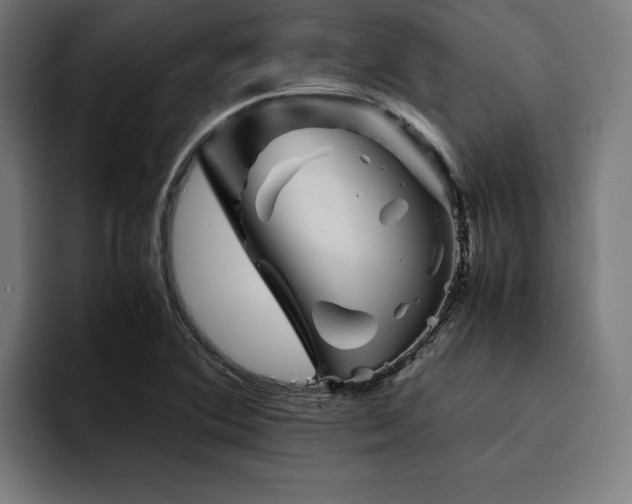 X0000094451364200711081256