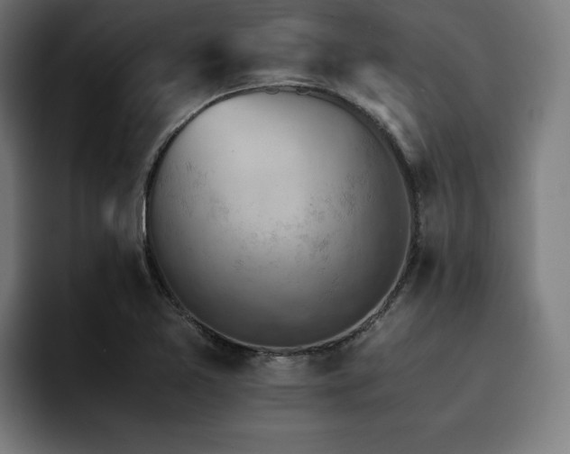 X0000094451365200711081256
