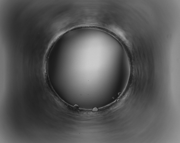 X0000094451366200711081256