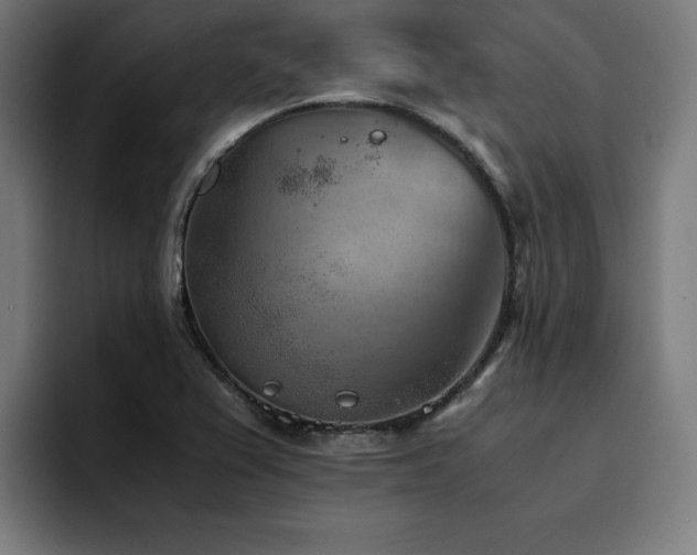 X0000094451367200711081256