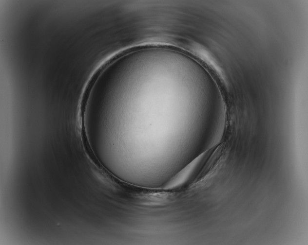 X0000094451372200711081256