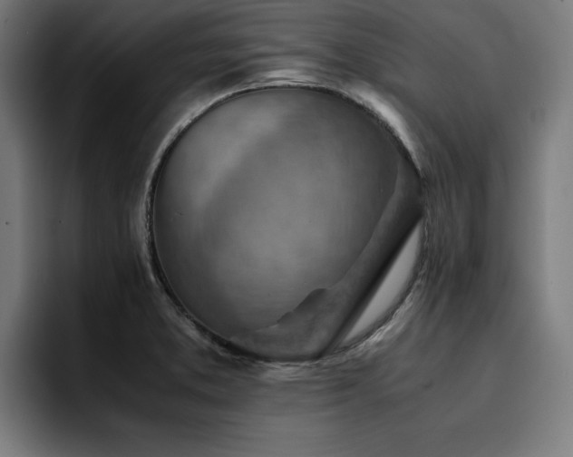 X0000094451373200711081256