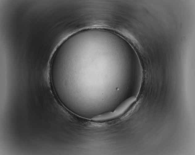 X0000094451374200711081256