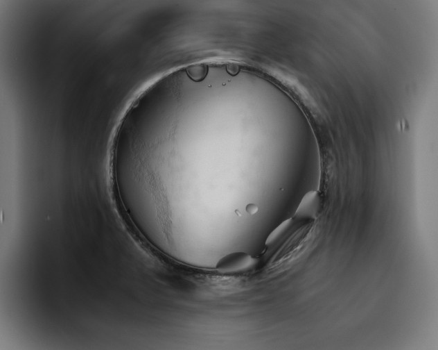 X0000094451375200711081256