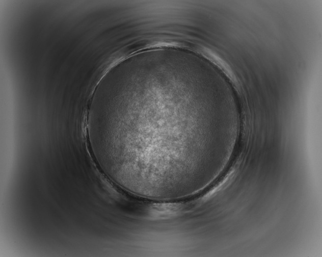 X0000094451377200711081256
