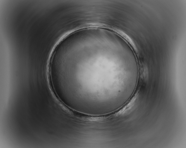 X0000094451381200711081256