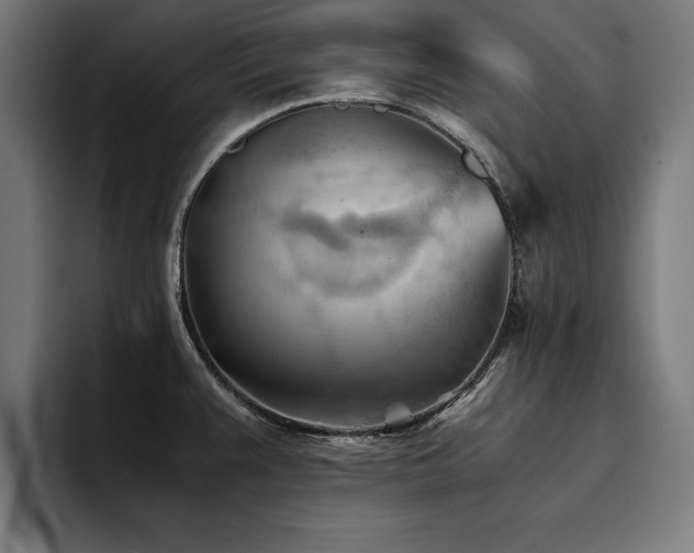 X0000094451383200711081256