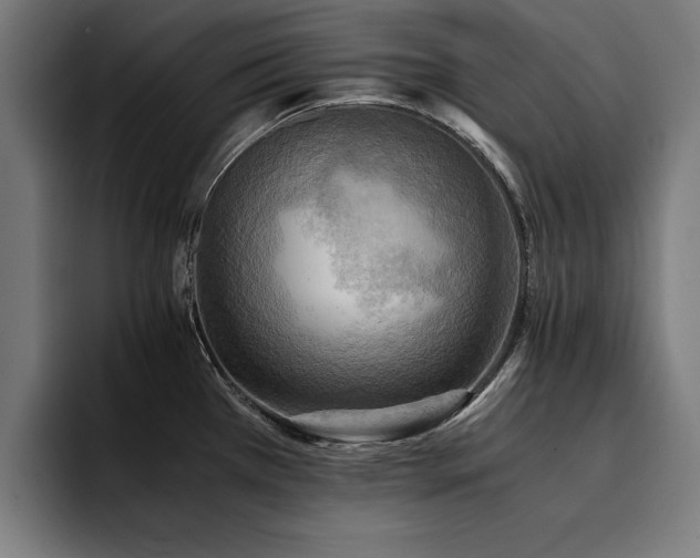 X0000094451385200711081256