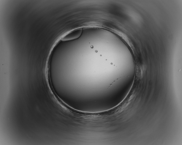 X0000094451387200711081256