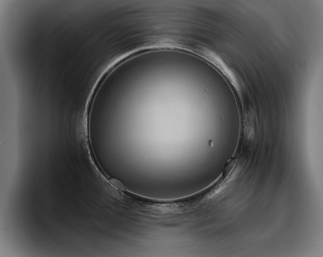 X0000094451388200711081256