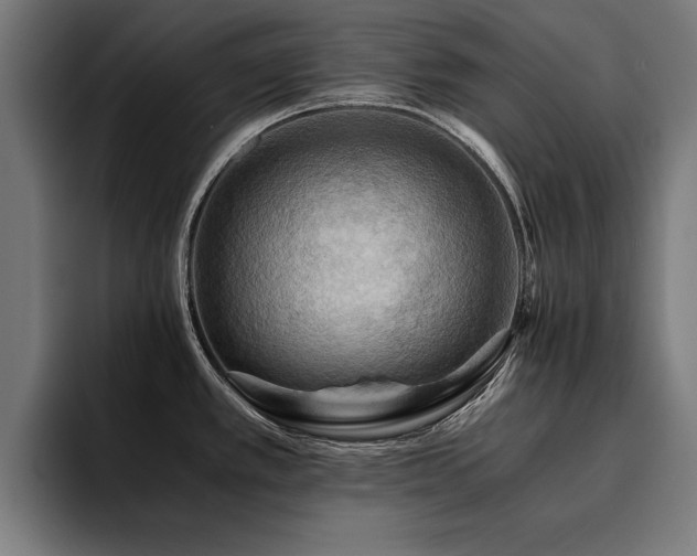 X0000094451389200711081256