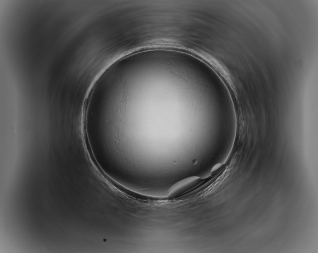 X0000094451390200711081256