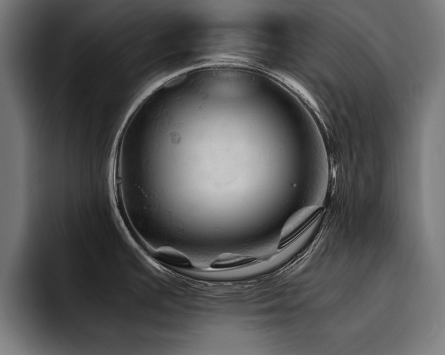 X0000094451391200711081256