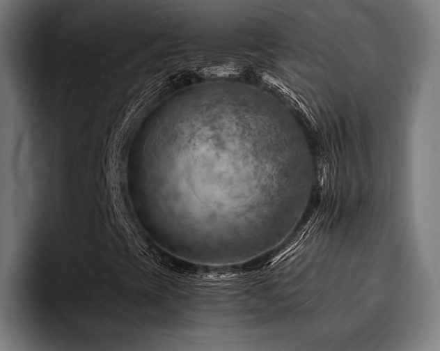 X0000094451393200711081255